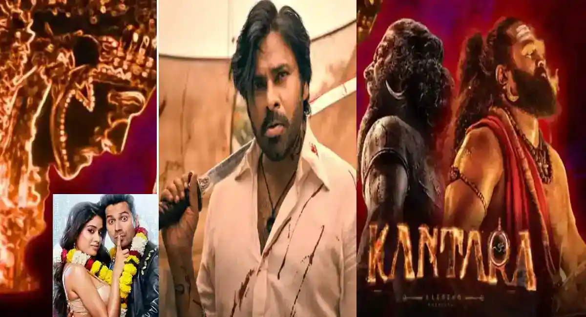 Box Office Report 13 October 2025 Box Office Report: Kantara Chapter 1, Sunny Sanskari Ki Tulsi Kumari, They Call Him OG, Jolly LLB 3, Idli Kadai